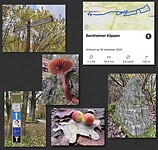 IMG_3132