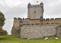 IMG_3127