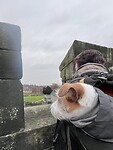 IMG_3108