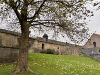 IMG_3094