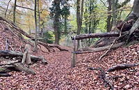 IMG_2997