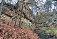 IMG_2988