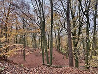 IMG_2983