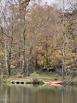 IMG_2981