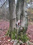 IMG_2971