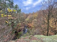 IMG_2968