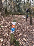 IMG_2962