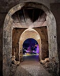 IMG_2944