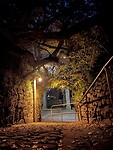 IMG_2937