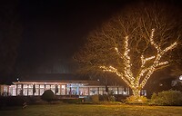 IMG_4334