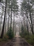 IMG_4369