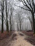 IMG_4374