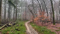 IMG_4382