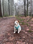 IMG_4393