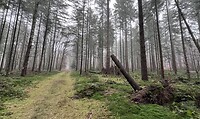 IMG_4401