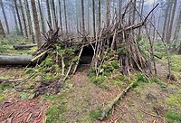 IMG_4402