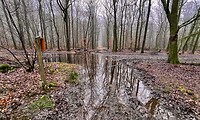 IMG_4404