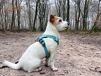 IMG_4414