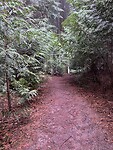 IMG_4416