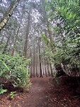 IMG_4425