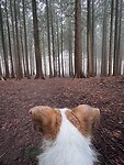 IMG_4439