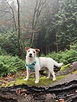 IMG_2557