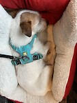 IMG_2578