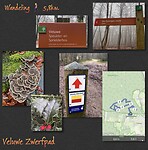 IMG_4481