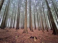 IMG_4441
