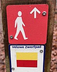 IMG_4515
