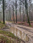 IMG_4513