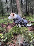 IMG_4509