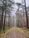 IMG_4503