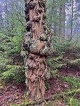 IMG_4504