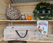 IMG_4493