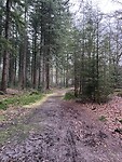 IMG_4590