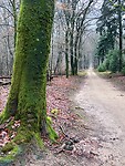 IMG_4577