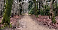 IMG_4575