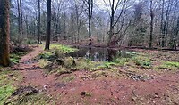 IMG_4574
