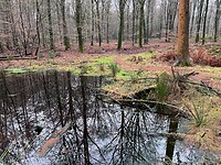 IMG_4571