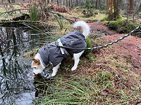 IMG_4569