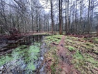 IMG_4567