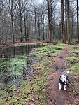 IMG_4566