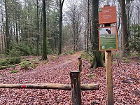 IMG_4564