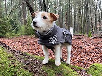 IMG_4559
