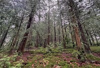 IMG_4546