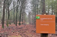 IMG_4541