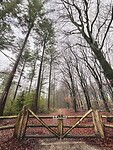 IMG_4540