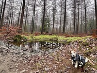 IMG_4533