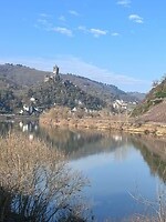 IMG_5595